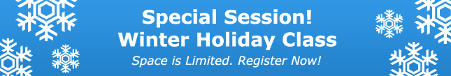 Special Winter Holiday Driving Class